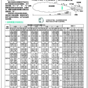 雙頭霧化噴嘴